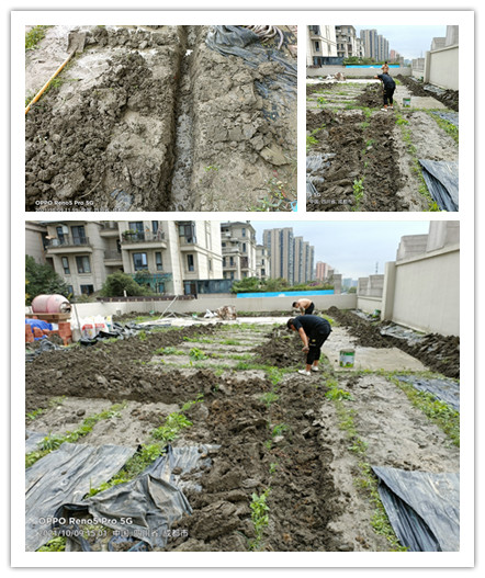微信圖片_20211015143346_副本.jpg