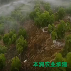 應(yīng)用視頻